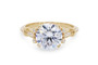 WEBMT02489