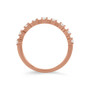 WEBLB02263-U