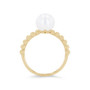 WEBPL00070-U