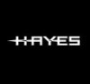 Hayes Brakes