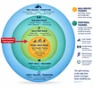 Peripheral Training for Triathletes: Strength, Cross-Training and Injury Prevention