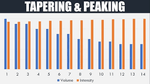 Mastering the Race Taper: Stress Management, Travel, and Peak Performance