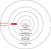 Peripheral Training for Athletes and When To Implement It