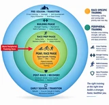 Peripheral Training for Triathletes: Strength, Cross-Training and Injury Prevention