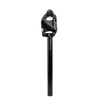 Cane Creek G4 Thudbuster-LT Seatpost, 30.9 x 420mm