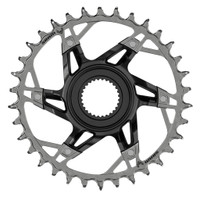 SRAM XX T-Type E-MTB Chainring, Bosch Gen 4, 36t, Blk/Slv