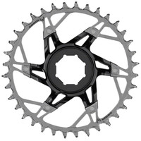 SRAM XX T-Type E-MTB Chainring, Brose, 36t, Blk/Slv