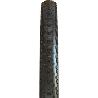 Maxxis Aspen Tire, 29x2.4", F170, EXO/TR, Silica