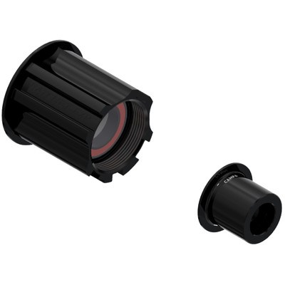 DT Swiss Campy 9-11sp FH Body w/ 12x142 EC, Ratchet EXP Hubs