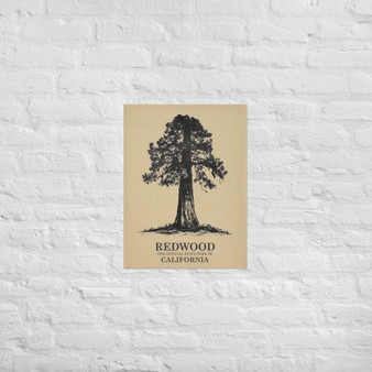 Poster california redwood