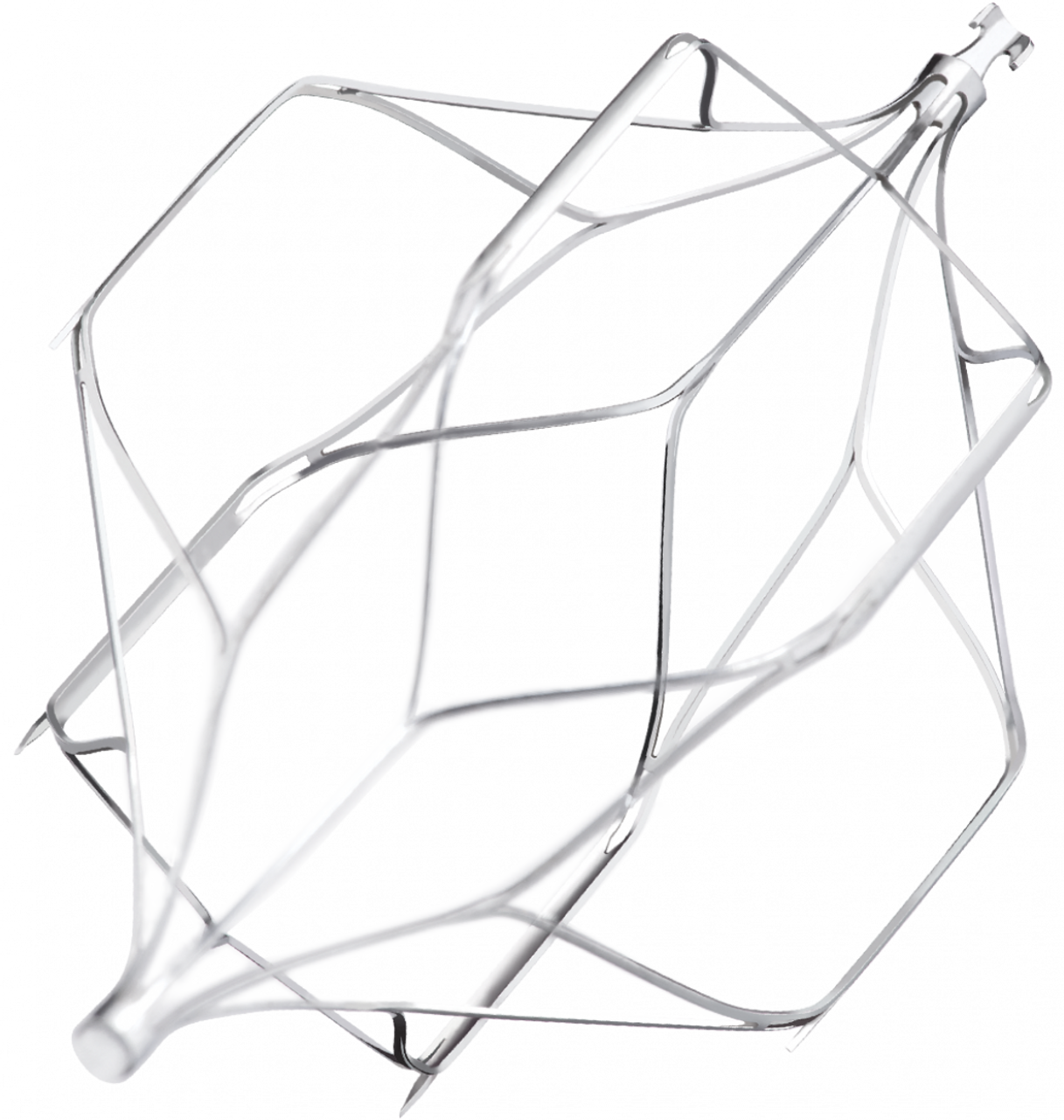 Vena Cava Filters Vena Cava Filters