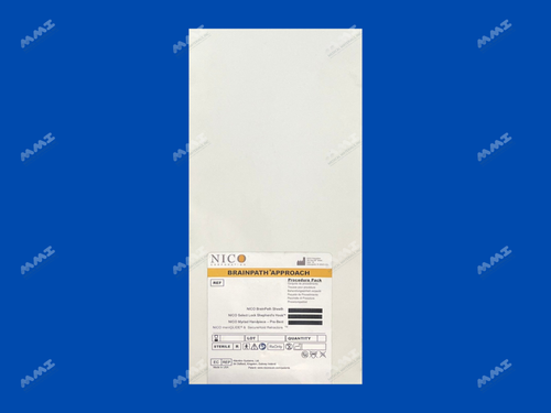 BrainPath Approach NN-2004