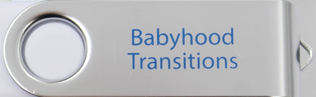 06-Babyhood Transitions 4-Part Video Series (USB Computer Read-Only Drive-Mac/PC) NON-REFUNDABLE Item