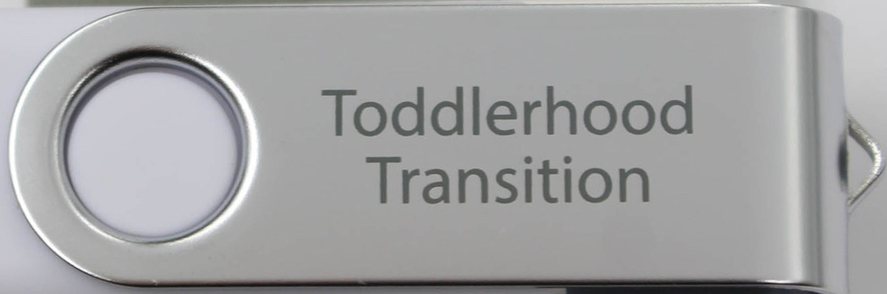 skovl Nominering Stole på 06-The Toddlerhood Transition | 9-Part Video Series (USB Computer Read-Only  Drive-Mac/PC)