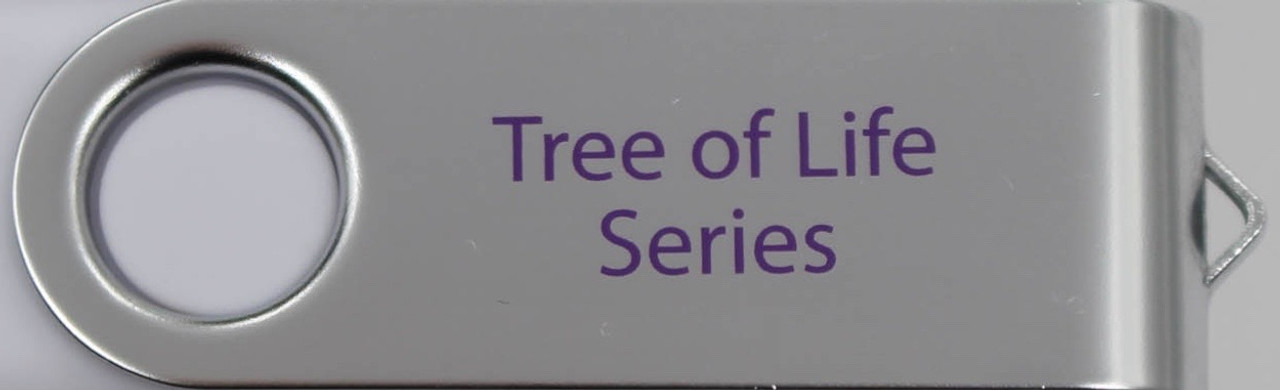 06-Parenting From the Tree of Life | 17-Part Video Series (USB Computer Read-Only Drive-Mac/PC) NON-REFUNDABLE Item