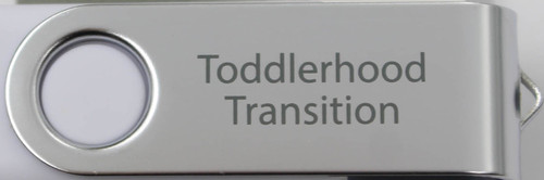 06-The Toddlerhood Transition | 9-Part Video Series (USB Computer Read-Only Drive-Mac/PC) NON-REFUNDABLE Item