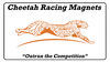 Cheetah Racing Magnets