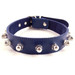 Blue Rouge Leather Nuts and Bolts Style Studded Bondage Slave Collar BDSM