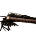 BOUND Nubuck Leather Bondage Flogger Whip