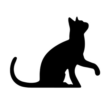 100mm Cat Acrylic Blank Shape 12