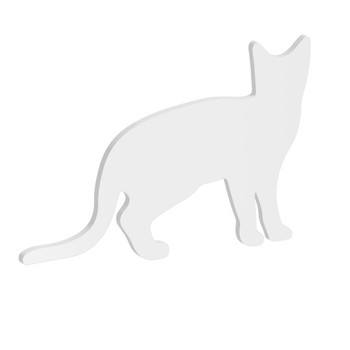 100mm Cat Acrylic Blank Shape  1