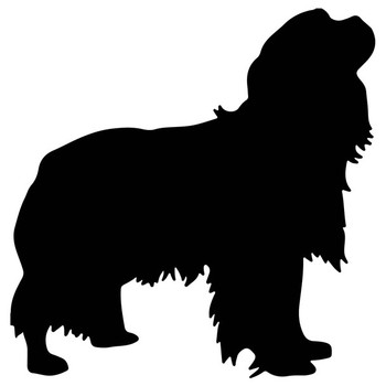 50mm Cavalier King Charles Dog Acrylic Blank