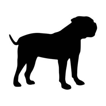 50mm American Bulldog Dog Acrylic Blank