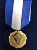 Auxiliary National Distinguished Service Award (Bronze)