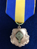 Auxiliary Chapter Award (Bronze)