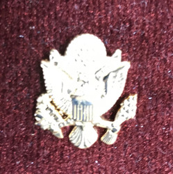 U.S. Army Pin