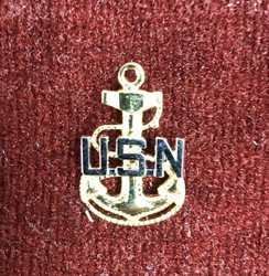 U.S. Navy Pin