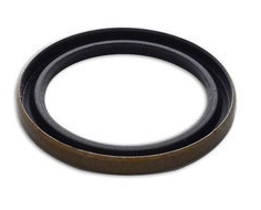 Cummins 3039000 Oil Seal