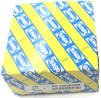 1317 SNR Replacement Bearing-MAXTRAN