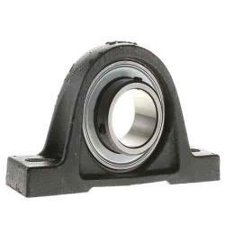 RASEY15-XL INA Cast Iron 2-Bolt Pillow Block Units,15MM Shaft