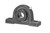 NAPL206-19 IPTCI 2-Bolt Pillow Block Bearing Assembly, 1-3/16" Shaft