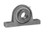 SALP202-10G IPTCI 2-Bolt Pillow Block Bearing Assembly, 5/8" Shaft