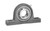 SBLP207-23G IPTCI 2-Bolt Pillow Block Bearing Assembly, 1-7/16" Shaft