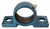 P204 Cast Iron 2-Bolt Pillow Blocks used in Standard Duty Type Mounted Bearing Units
