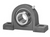 UCPX09-27 TTN 2-Bolt Pillow Block Bearing, 1-11/16" Shaft