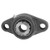 UKFL206 AMI Bearing 2-Bolt Flanged Bearing, 25mm Shaft