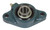 F2BSC112, 124413 Dodge 2-Bolt Flange Bearings, 1-3/4 In 2-Bolt Flange Bearings-MAXTRAN
