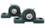 PB221DRW1 1/4S Hub City Ball Bearing Pillow Block