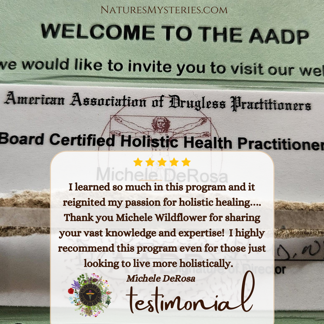 Holistic Health Practitioner Program