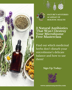 3 Natural Antibiotics That Won’t Destroy Your Microbiome Free Masterclass 3 Natural Antibiotics That Won’t Destroy Your Microbiome Free Masterclass