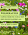 Wildcrafted Flower Medicine Extraction Free Online Masterclass