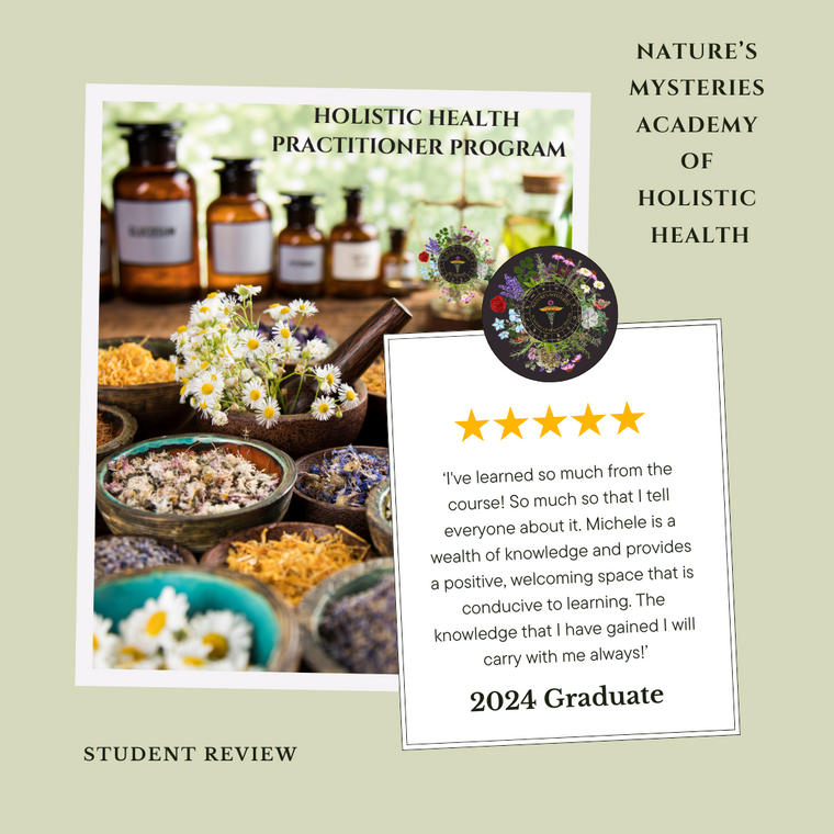 Holistic Health Practitioner Program - Holistic Health Practitioner Program -