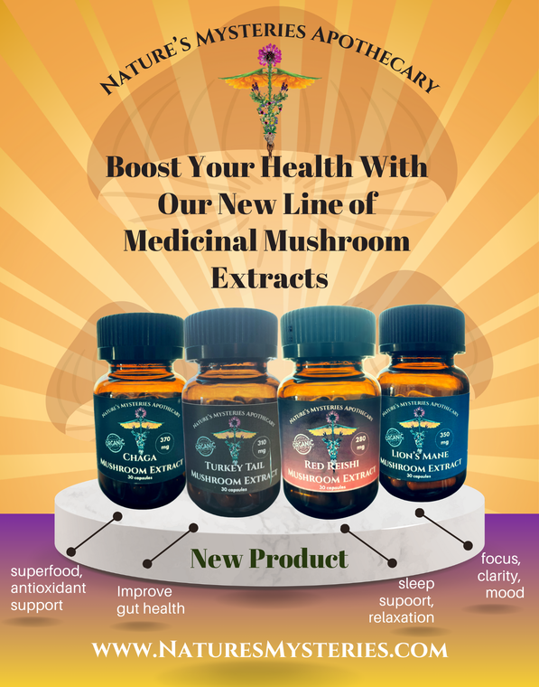 **NEW PRODUCT** Medicinal Mushroom Extract Capsules