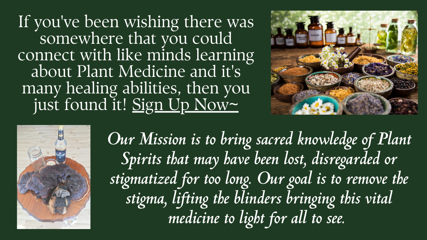 nature-s-mysteries-academy-new-website-2-.png
