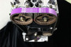HKS FINE TUNE TIMING BELT SPORT B16B/B18C - 24999-AH002 Photo - Primary