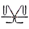 Sparco Belt Martini-Racing 6 Pt.3-4in Reg A - 04834HPDMRNR Photo - Primary
